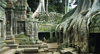 Circuit Angkor | Voyage Cambodge